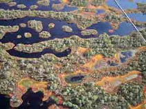 3rd Place - 'Estonia Peat Bog' by James & Susan Aber