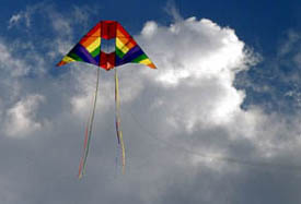 Delta Conyne with tails