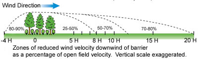 Up Wind and Down Wind Air Speed