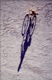 2nd Place - 'Desert Bike' by Cris Benton